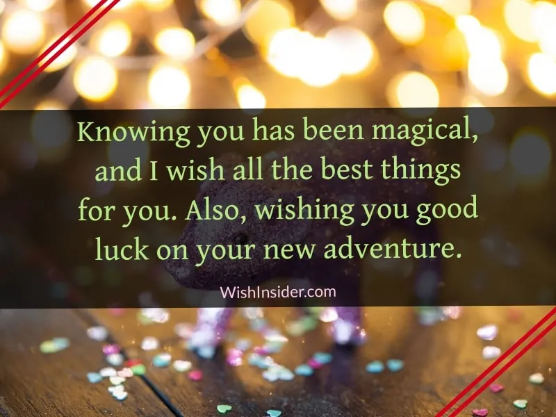 Good Luck on Your New Adventure Messages
