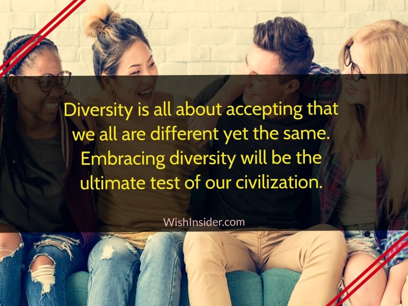 quotes about diversity and inclusion 