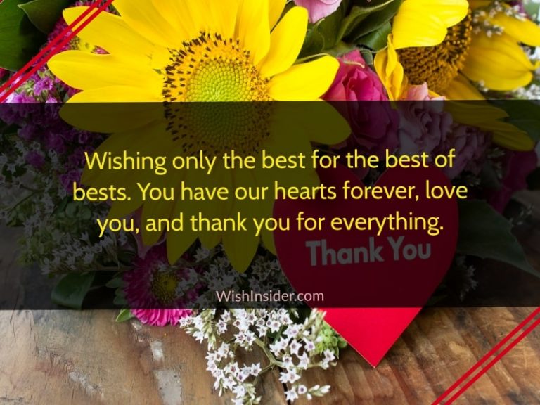 20 Quotes on Thank You for Everything You Do – Wish Insider