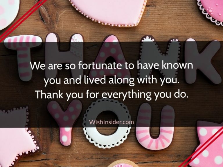 20 Quotes on Thank You for Everything You Do – Wish Insider